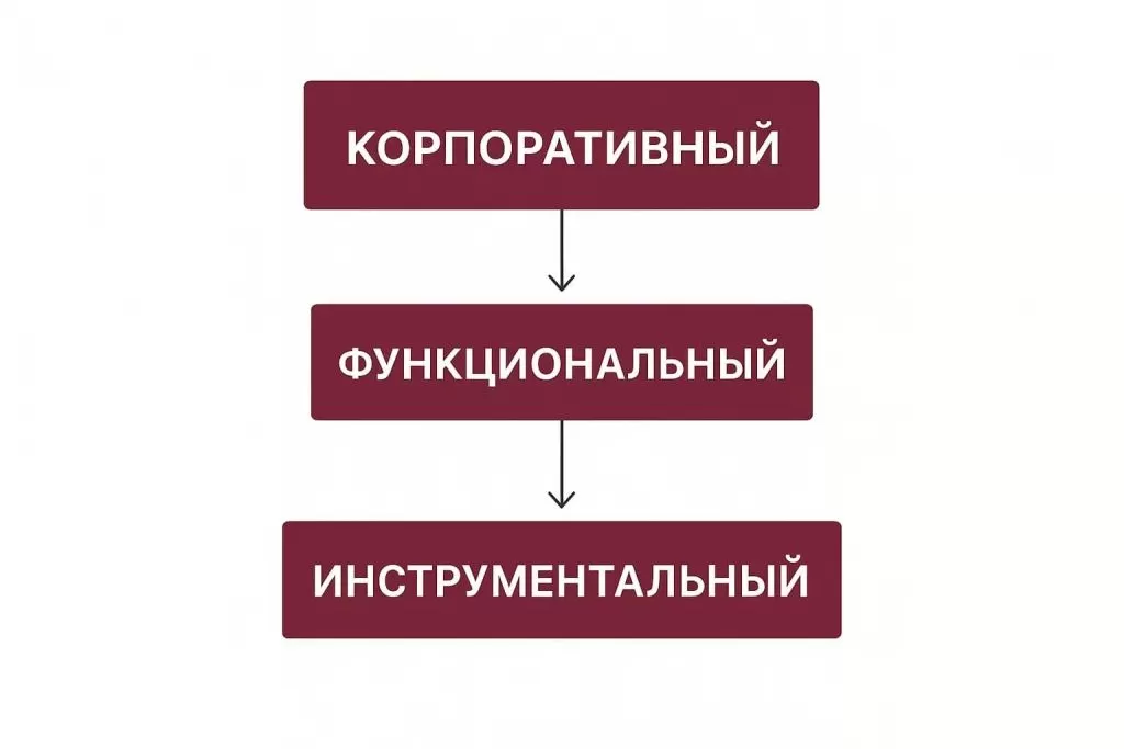 Уровни стратегии: корпоративный, функциональный, инструментальный.